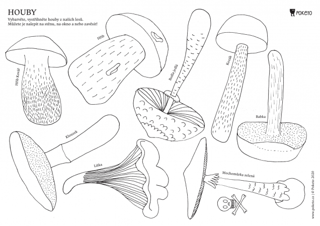 detail Omalovánky houby