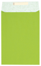 náhled Dárkový sáček papírový 22x5x30+6cm A4+, Uni světle zelený