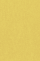 Dárkový papír archy 100x70cm, Zlatý poklad, 25ks