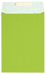 Dárkový sáček papírový 22x5x30+6cm A4+, Uni světle zelený