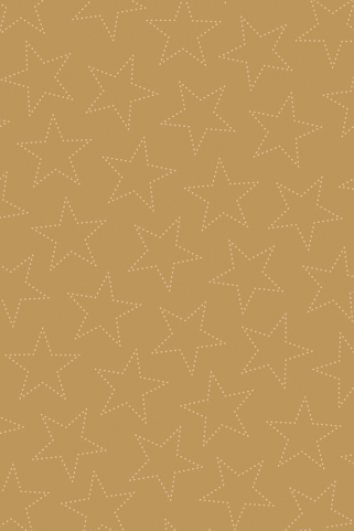 detail Dárkový papír role 70x150 cm Magické hvězdy - 5 motivů