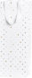 náhled Dárková taška 13x13x37cm, Hvězdičky třpyt, bílá