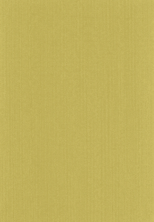 detail Dárkový papír archy 100x70 cm, Uni Natura zlatý, 25 ks