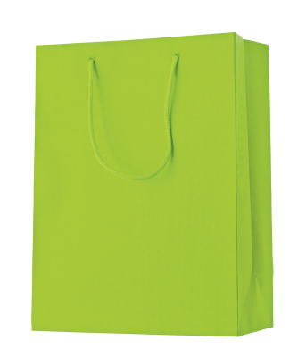 Dárková taška 25x13x33cm, One Colour světle zelená