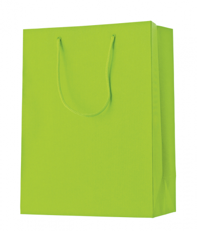 detail Dárková taška 25x13x33cm, One Colour světle zelená