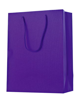 Dárková taška 25x13x33 cm, One Colour fialová