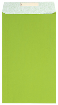 Dárkový sáček papírový 26x5x43+6cm A4+, Uni světle zelený