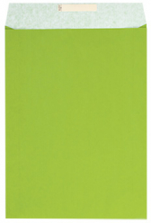 Dárkový sáček papírový 32x6x43+6cm A3+, Uni světle zelený