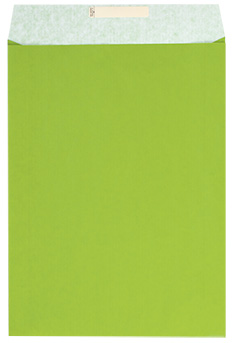 Dárkový sáček papírový 32x6x43+6 cm Uni světle zelený
