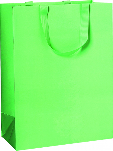 Dárková taška 25x13x33cm A4+, Zelený svit