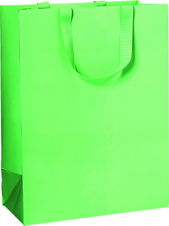 detail Dárková taška 25x13x33 cm Samora zelená