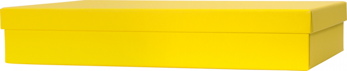 detail Dárková krabička 23.5x33x6 cm A4 One Colour žlutá