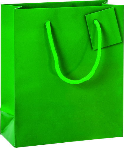 Dárková taška 18x8x21cm A5+, Sváteční zelená s leskem