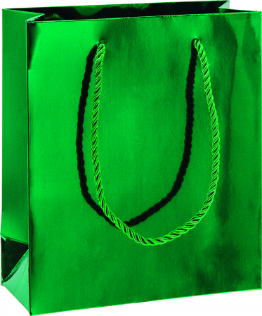 detail Dárková taška 18x8x21cm A5+, Sváteční zelená s leskem