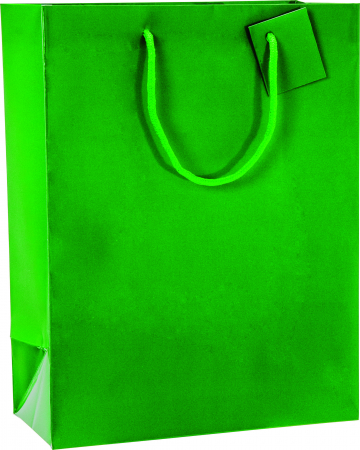 detail Dárková taška 25x13x33cm, Uni zelená lesklá