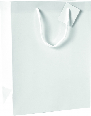 Dárková taška 25x13x33 cm Uni Decor bílá lesklá