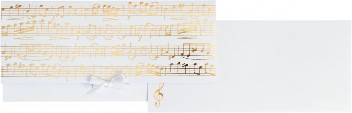 detail Dárková obálka na peníze 11x23 cm Mozart bílá FSC