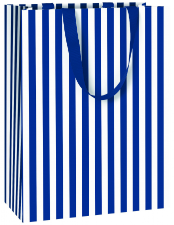 detail Dárková taška 25x13x33cm, Tmavě modré proužky
