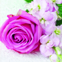 náhled Ubrousky 33x33cm, 20ks, Rozkvetlá růže