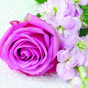 náhled Ubrousky 25x25cm, 20ks, Rozkvetlá růže