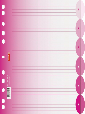 detail Rozlišovač do šanonu nebo do kroužkových pořadačů A4, 6 oddílů, růžový