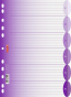 náhled Rozlišovač do šanonu nebo do kroužkových pořadačů A4, 6 oddílů, fialový