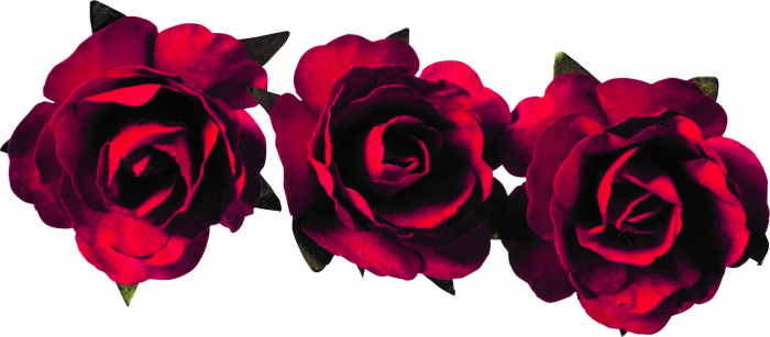 detail Papírová Růže 2.5cm, červená, 12 ks
