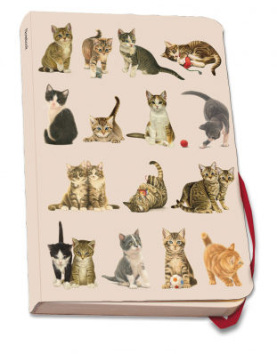 Stylový zápisník s gumičkou A5: Kočky, Franciens Katten