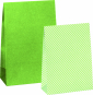 náhled Sada papírových dárkových sáčků 2 motivy A6+, světlá zelená, 6ks