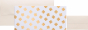 náhled Dárková obálka s přáním 11x23 cm, Čtyřlístek zlatý