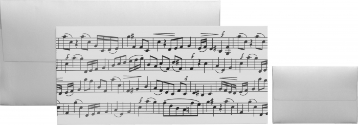 detail Dárková obálka na peníze nebo voucher 11x23cm, Mozart