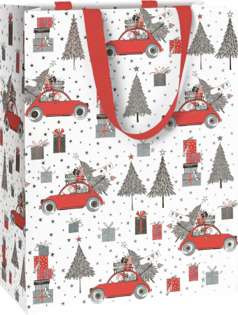detail Dárková taška 25x13x33cm, Vánoční autíčko