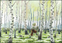 náhled Ilustrace 21x15cm: V březovém lese, Marit Törnqvist
