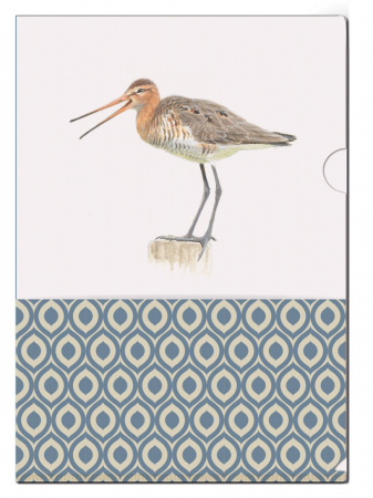 detail L-fóliové desky 22x31 cm A4: Vodní ptáci