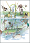 náhled Ilustrace 15x10,5 cm: Zvířátka u vody a pod vodou, Ingrid & Dieter Schubert
