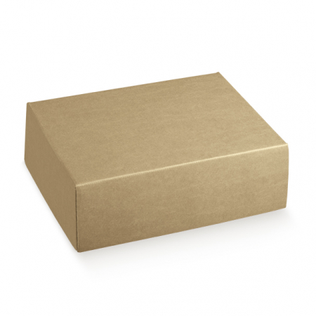 detail Skládací kartonový box na 2 lahve 39X27X13cm, EXPRESS