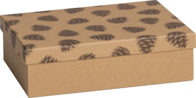 Dárková krabice 17x22,5x6,5cm A5+, Šiška borovice