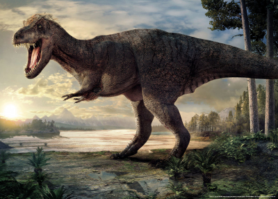 Plakát Tyrannosaurus Naturalis, 50x70cm