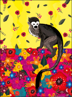 Plakát A3: Opička, Frida, 40x30cm