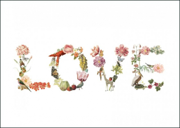 detail Blahopřání s obálkou: Květinové Love, Joëlle Wehkamp