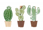 náhled MINI dřevěný kolíček Kaktus, 6ks