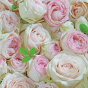 náhled Ubrousky 33x33cm, 20ks, Květy růže