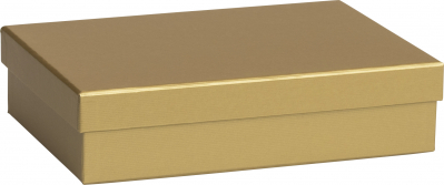 Dárková krabice 16,5x24x6cm A5+, One Colour, zlatá