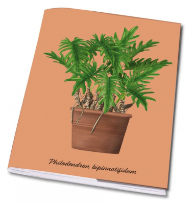 Sešit A5, Philodendron