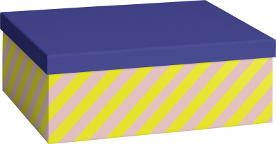 Dárková krabička 24x33x12cm A4+, Barevné proužky