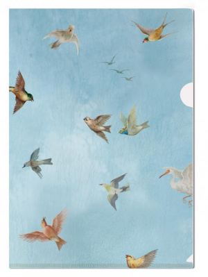 L-desky fóliové A4, Obloha s ptáky, stropní malba