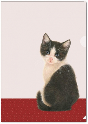 L-desky fóliové A4, Francienova koťata